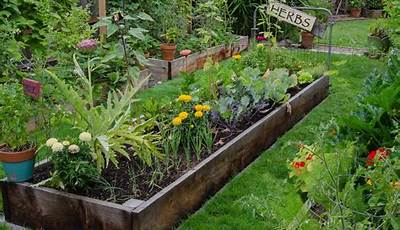 Outdoor Vegetable Garden Design Ideas