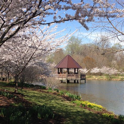 Outdoor Activities Vienna Va