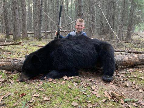 outdoor boy bear