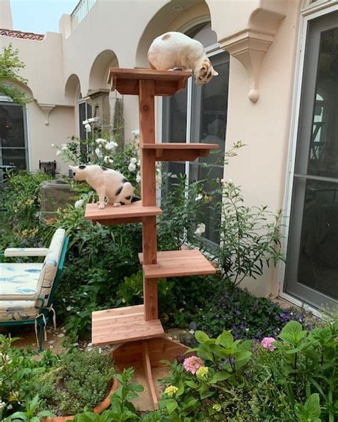 Outdoor Cat Gyms