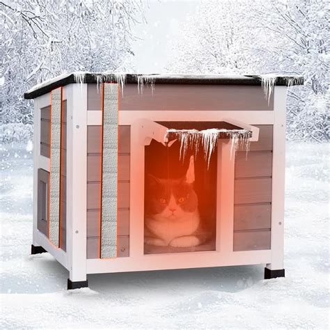 Outdoor Cats Winter
