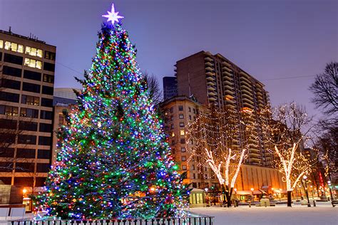 Outdoor Christmas Tree Canada