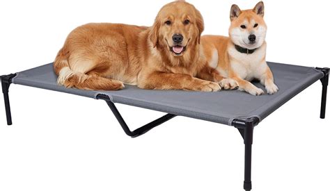 Outdoor Cots For Dogs