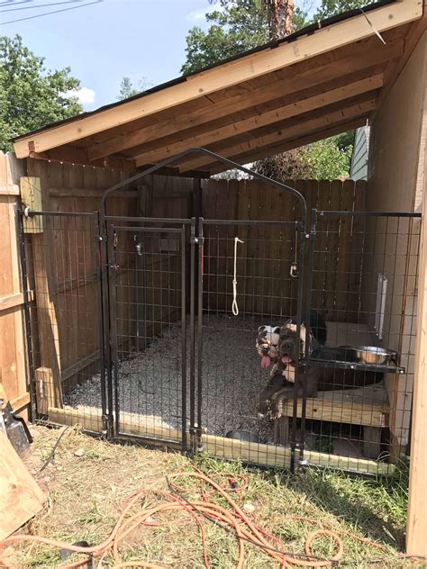 outdoor diy dog kennel