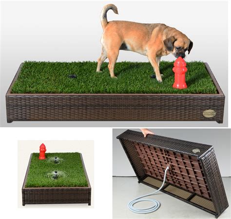 Outdoor Dog Litter Box