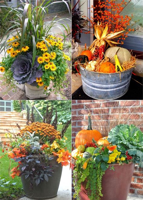 +26 Outdoor Fall Plants 2023