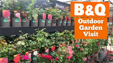 Outdoor Flowers B Q