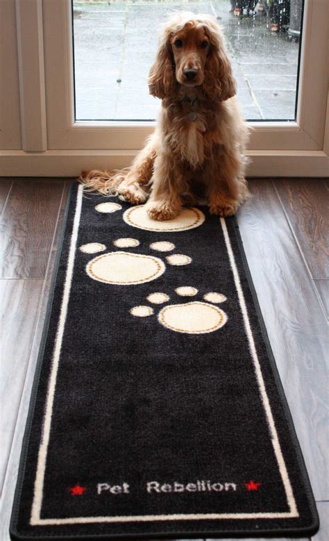 Outdoor Mat For Dogs