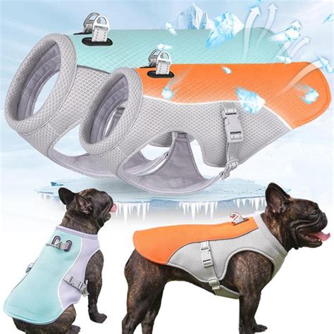Outdoor Pet Jacket
