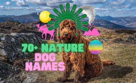 Outdoor Pet Names