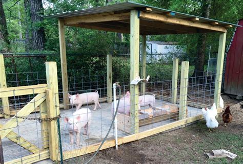 Outdoor Pig Pen Ideas