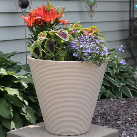 outdoor pots new zealand