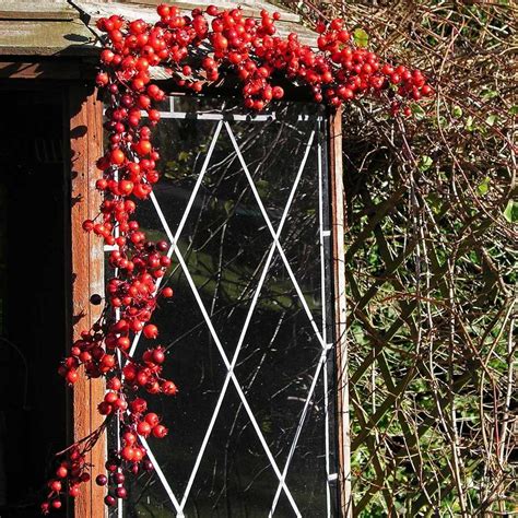 outdoor red berry garland