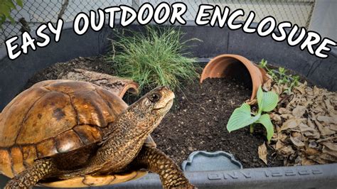 Outdoor Turtle Enclosures