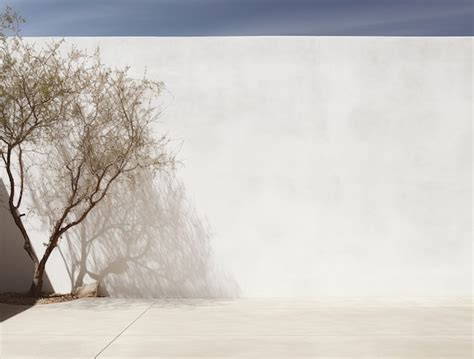 Outdoor White Background