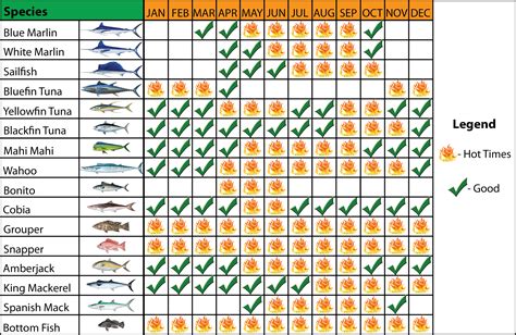 Outer Banks Offshore Fishing Calendar 2024