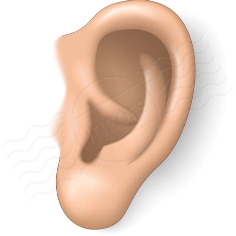 Outer Ear Clip Art