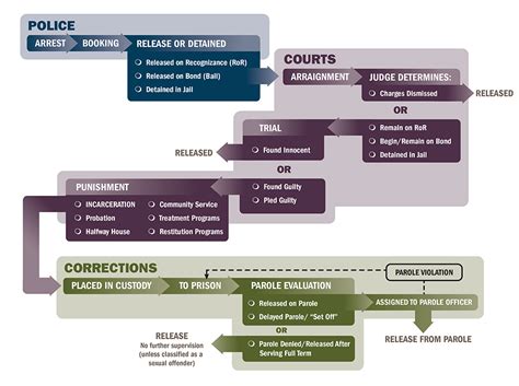 outline the basic structure of the criminal justice system