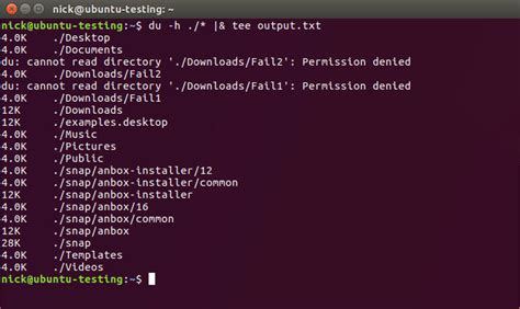 Output To Screen And File Linux
