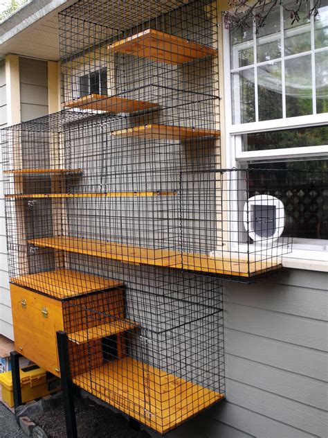 outside litter box enclosure