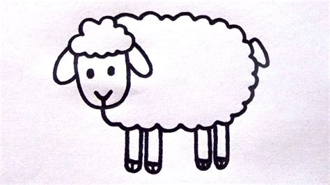 Cómo dibujar una Oveja para niños Dibujo fácil de una Oveja paso a paso YouTube