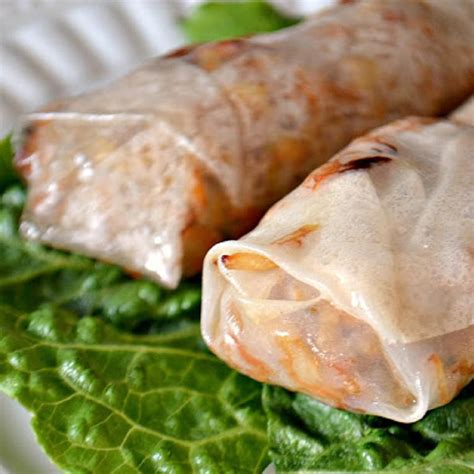persianwildlife.us:oven baked rice paper rolls