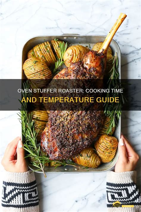 Oven Stuffer Roaster Internal Temperature