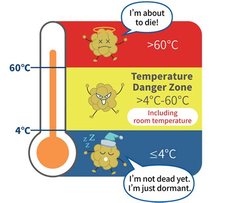 Oven Temp To Kill Bacteria