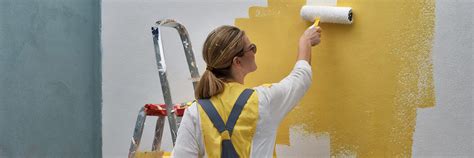 Over Schimmel Verven