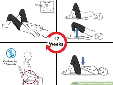 Overflow Incontinence Exercises