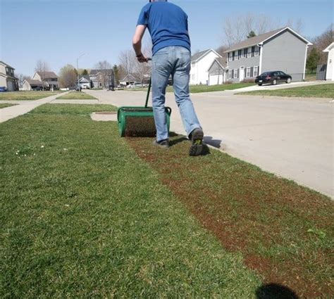 When To Overseed Lawn In Spring