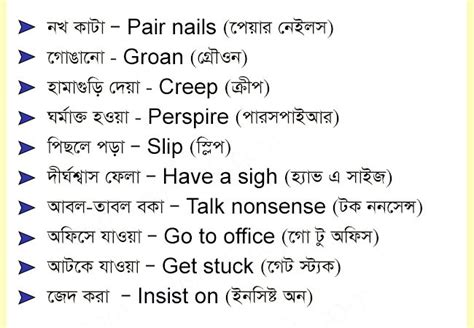 overview meaning in bengali