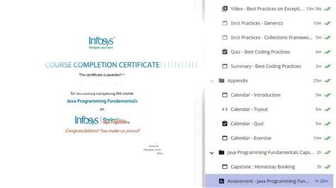 overview of infosys springboard