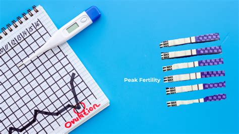 Ovulation Kits Vs. Basal Thermometer