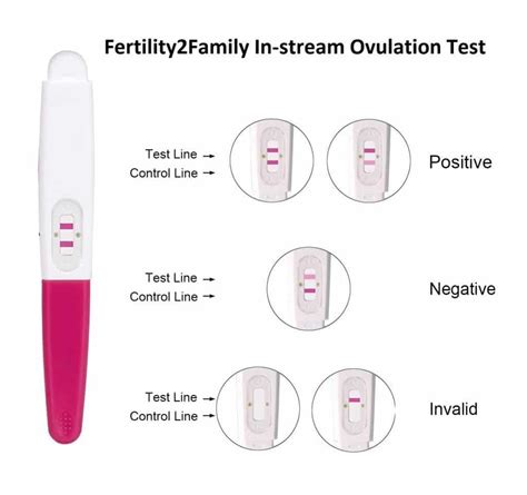 Ovulation Test On Day