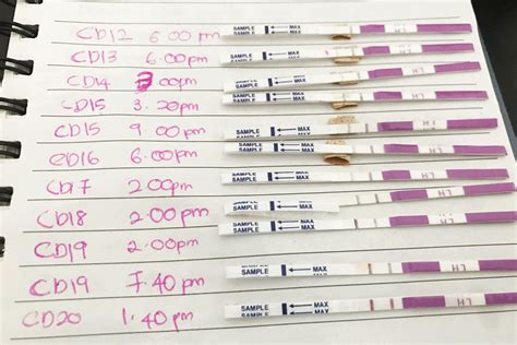Ovulation Test Positive Only 1 Day