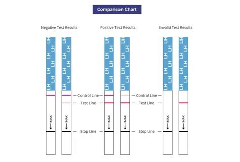 Ovulation Test Strip Lines