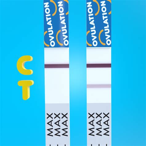 Ovulation Test Strips Pregmate Instructions