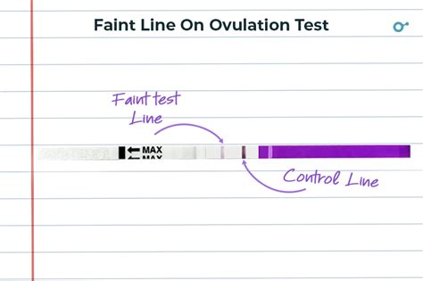 Ovulation Test With Faint Line