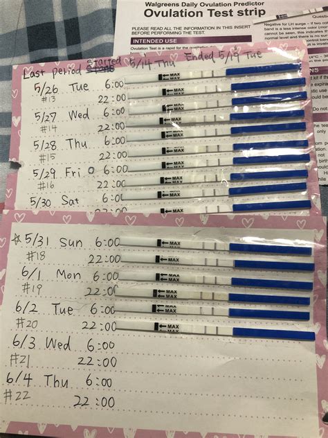 Ovulation Tests Lines