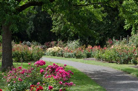 Owen Rose Garden: A Hidden Gem Worth Exploring