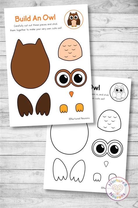 24 Cute and Cuddly Owl Books for Kids