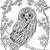 owl coloring pages for adults
