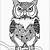 owl coloring sheets