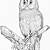 owl free coloring pages
