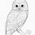 owl picture printable