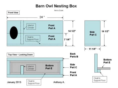 Owl Box Instructions