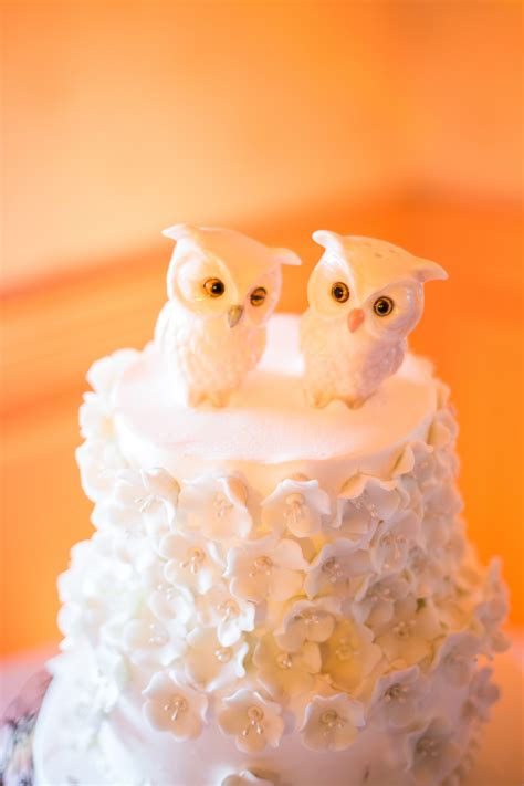 Image of an owl cake topper