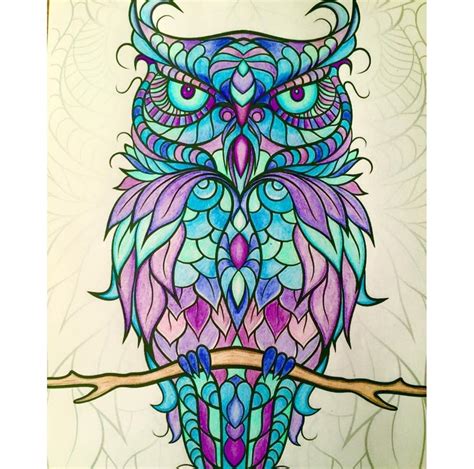 owl coloring pages already colored