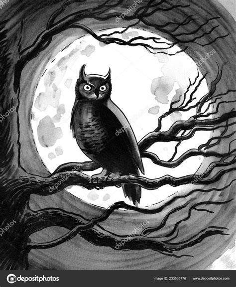 Cute Baby Owl Sitting in the Tree Hollow Stock Vector Illustration of cartoon, artwork 61396137